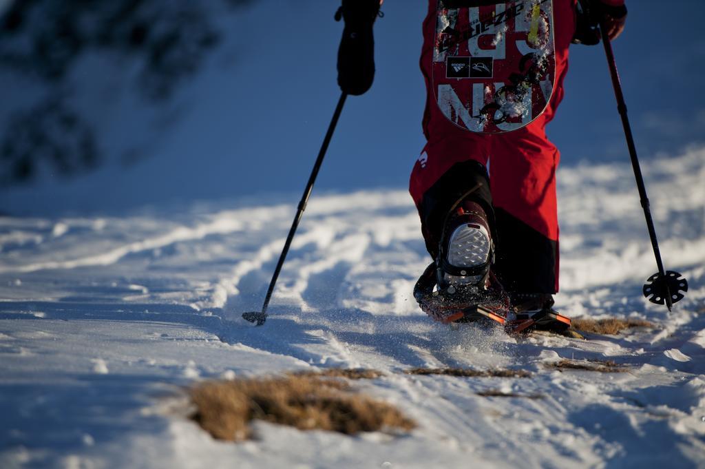 Hotel Alpina Saalbach-Hinterglemm Ngoại thất bức ảnh